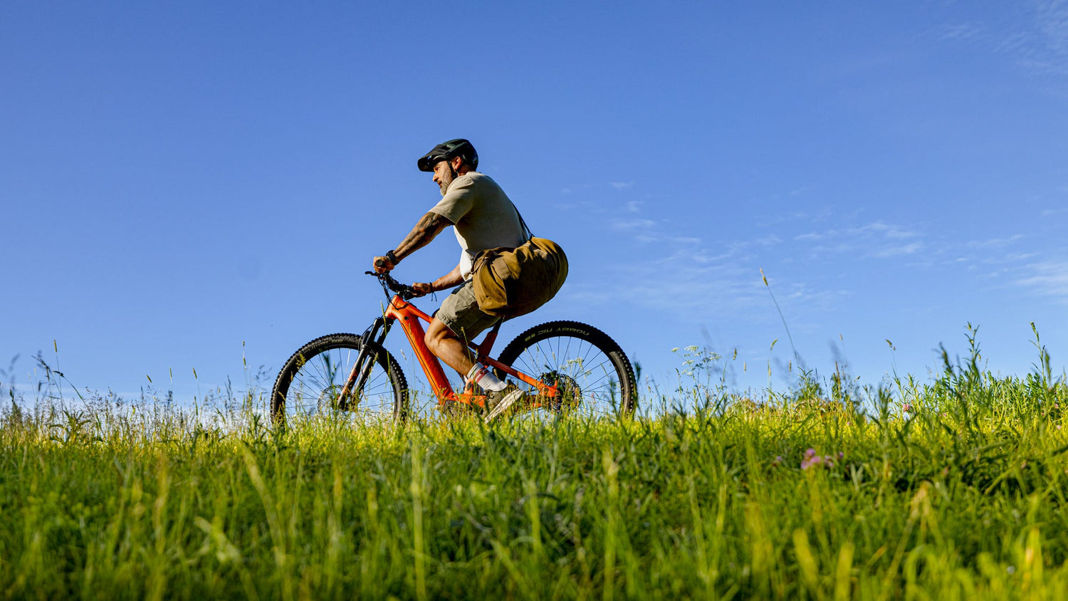 Fat bikes